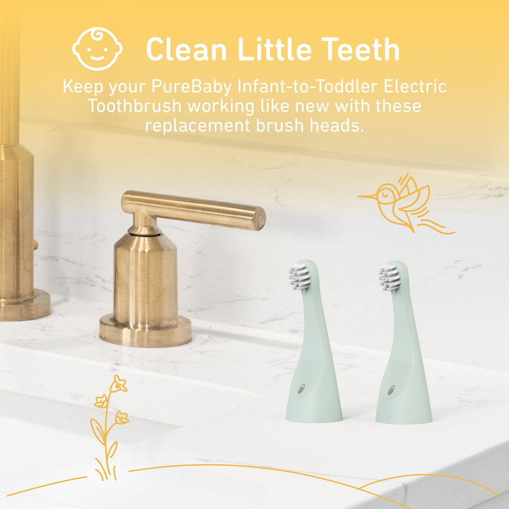 PureBaby Infant-to-Toddler Electric Toothbrush (PEBBYBSH-SG) - 2-Pack Replacement Bristle Brush Heads - Image 4